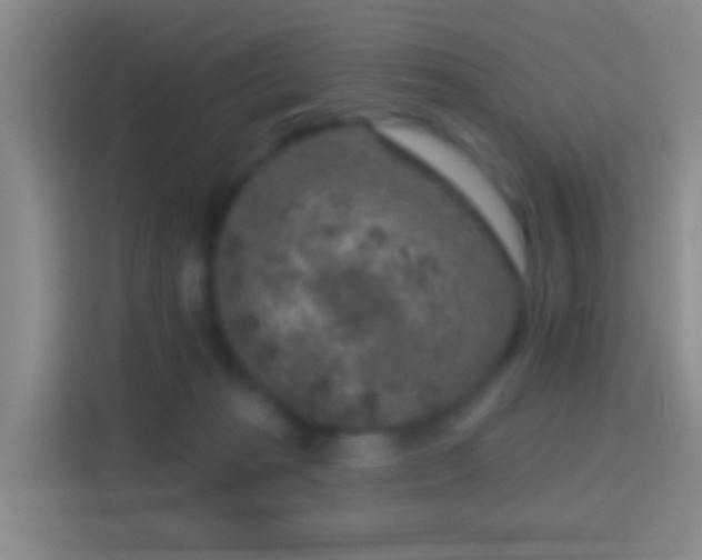 X0000114440269200910231324