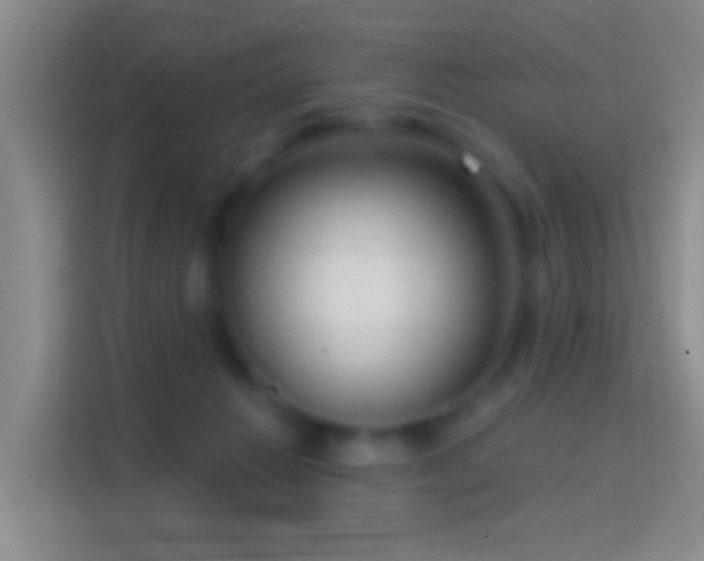 X0000114440270200910231324