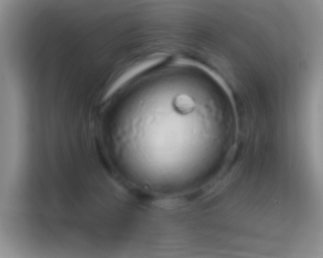 X0000114440273200910231324