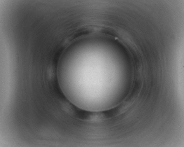 X0000114440274200910231324