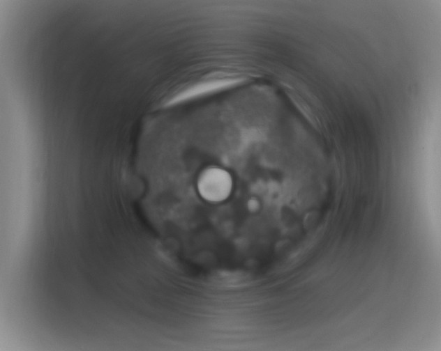 X0000114440277200910231324