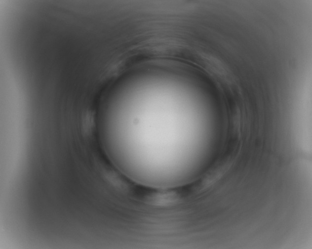 X0000114440278200910231324