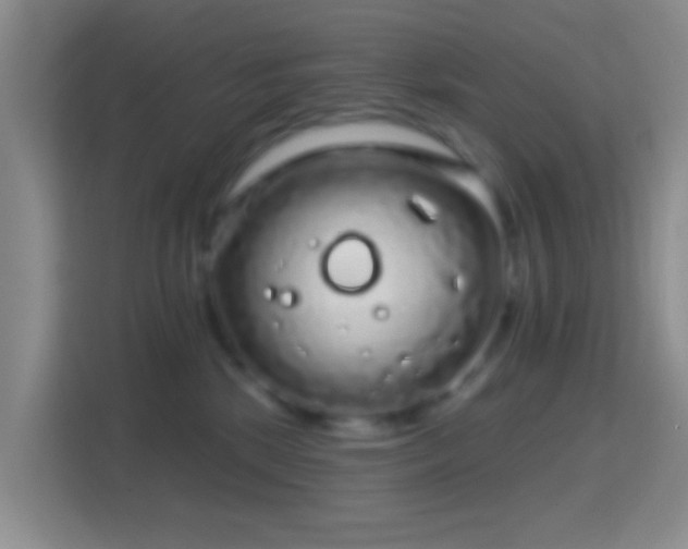 X0000114440281200910231324