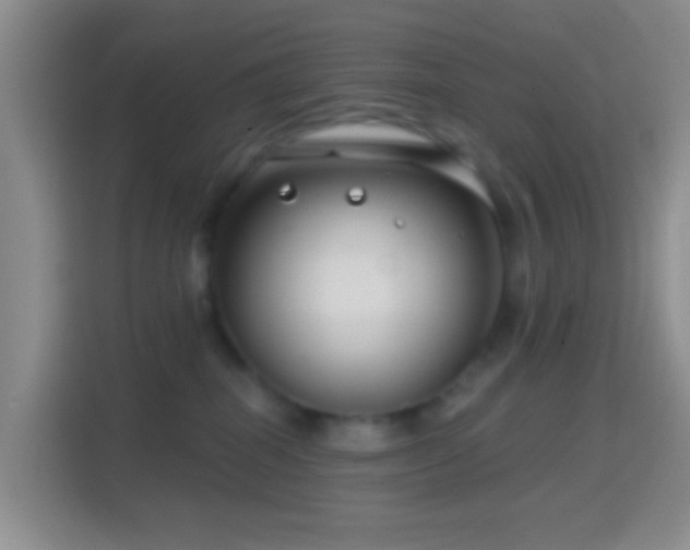 X0000114440282200910231324