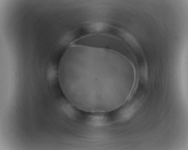 X0000114440284200910231324