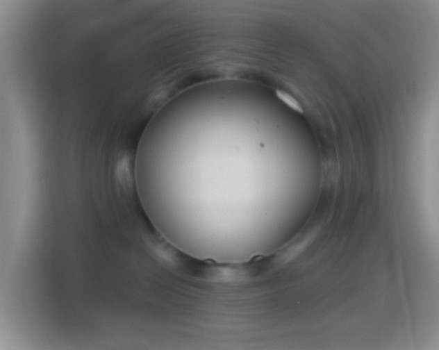 X0000114440286200910231324