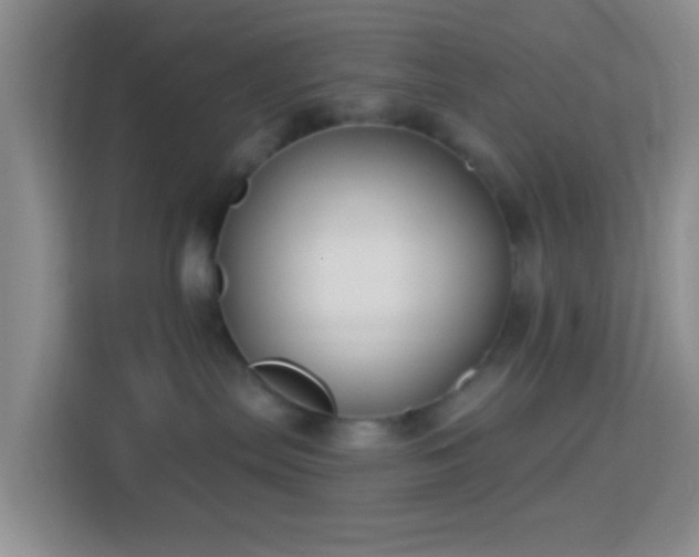 X0000114440287200910231324