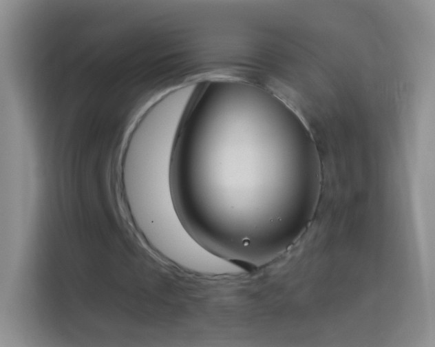 X0000114440289200910231324