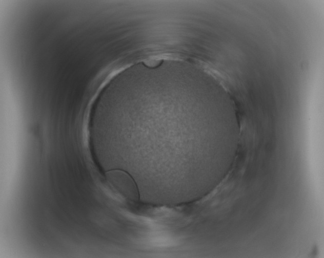 X0000114440290200910231324