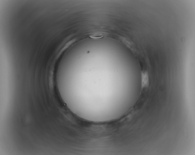 X0000114440291200910231324