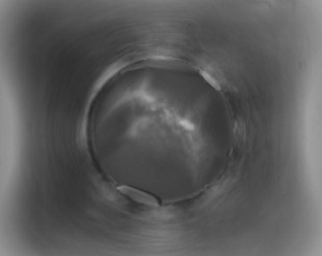 X0000114440292200910231324