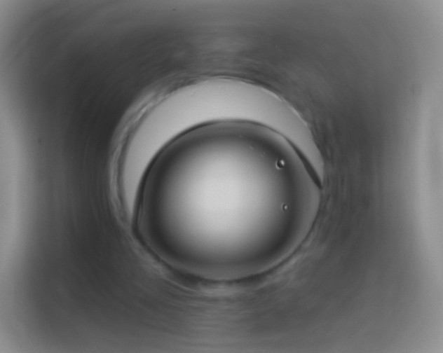 X0000114440293200910231324