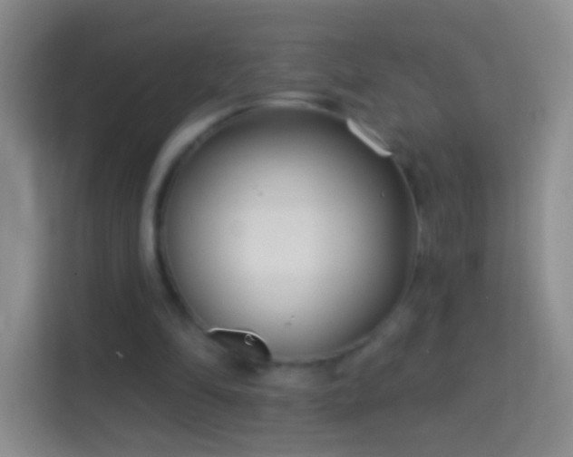 X0000114440294200910231324