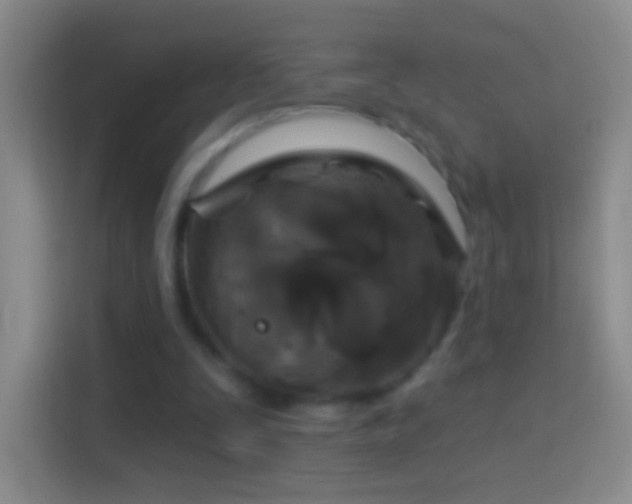 X0000114440295200910231324