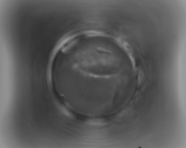 X0000114440296200910231324