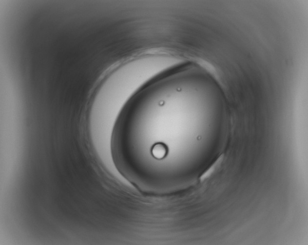 X0000114440297200910231323