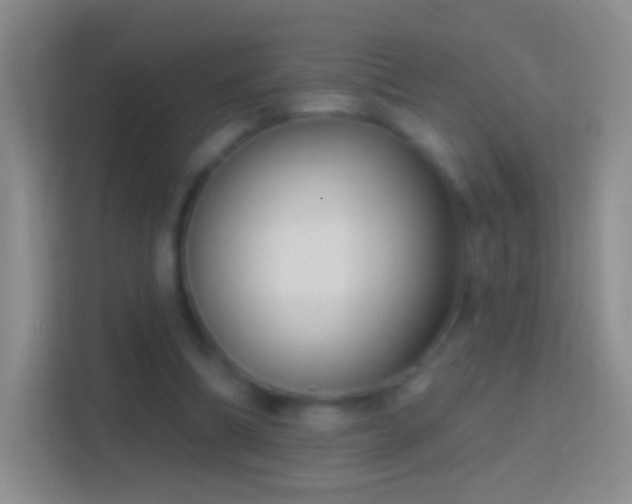 X0000114440298200910231323