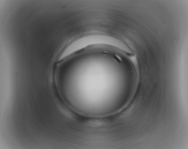 X0000114440299200910231323