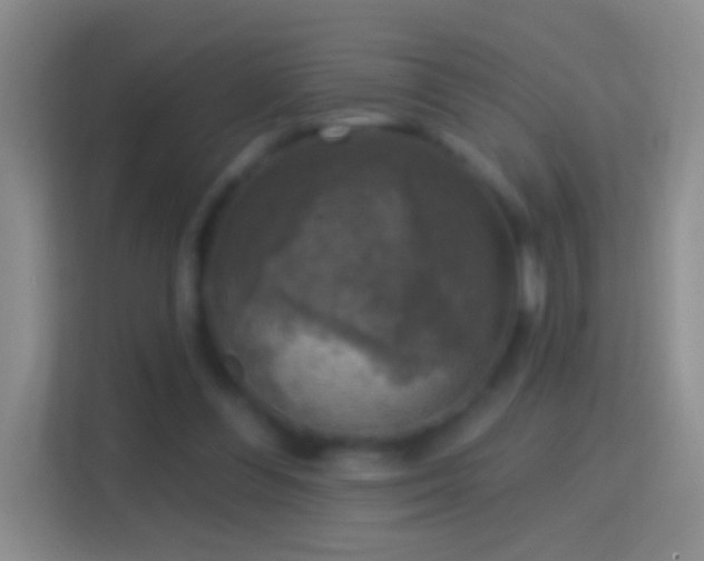 X0000114440300200910231323