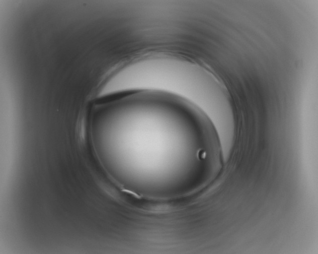 X0000114440301200910231323