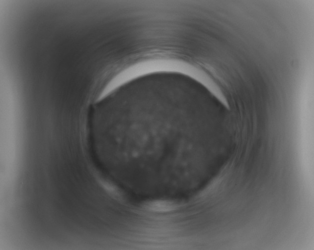 X0000114440303200910231323