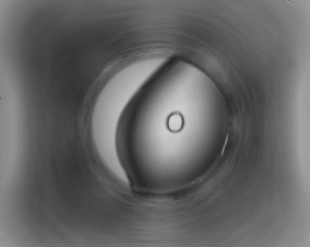 X0000114440304200910231323