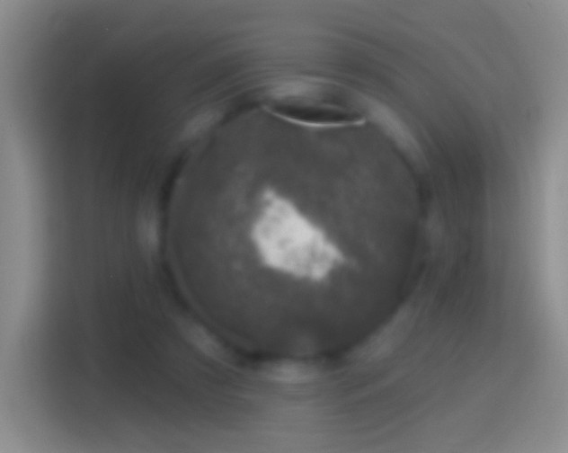 X0000114440305200910231323