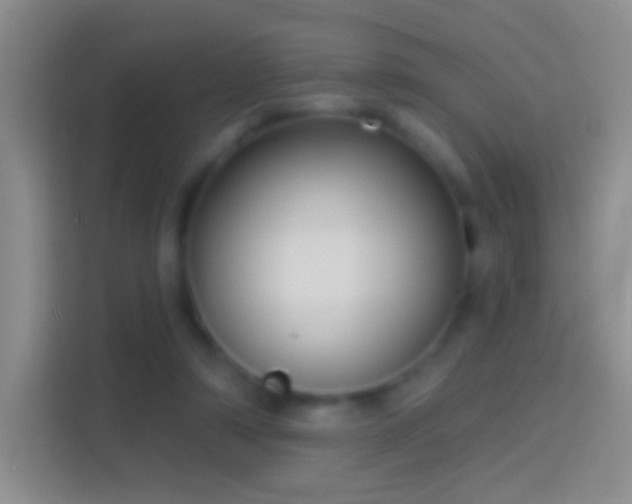 X0000114440306200910231323