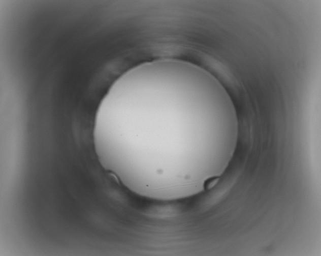 X0000114440307200910231323