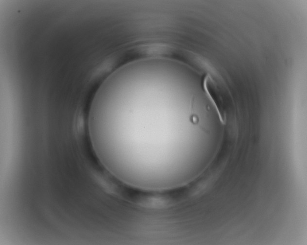 X0000114440310200910231323