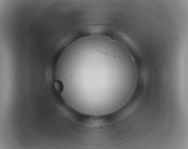 X0000114440311200910231323