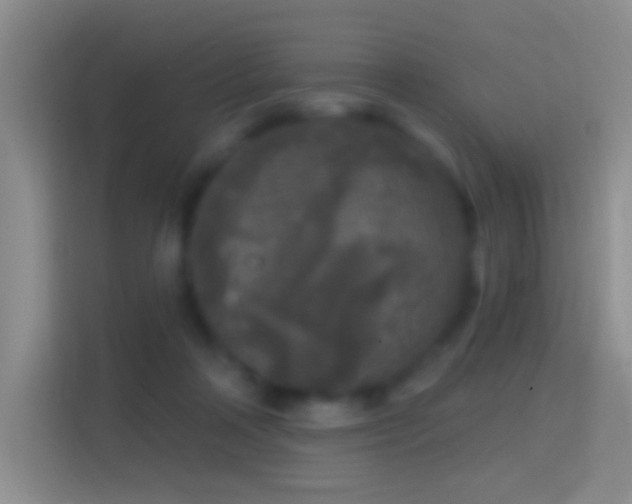 X0000114440314200910231323