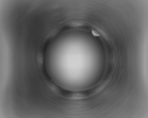 X0000114440315200910231323