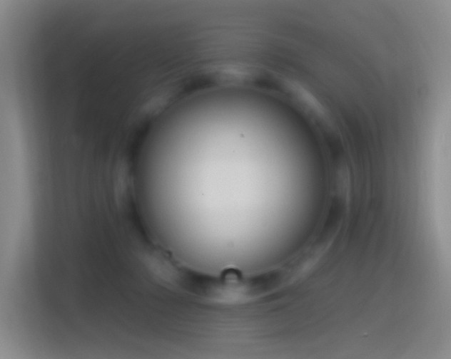 X0000114440318200910231323