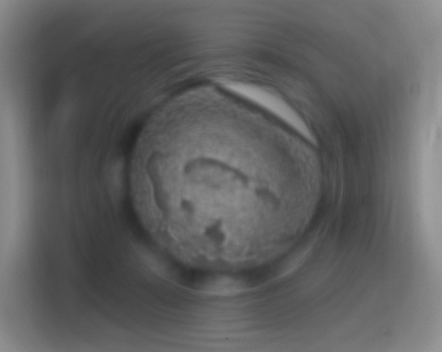 X0000114440319200910231323