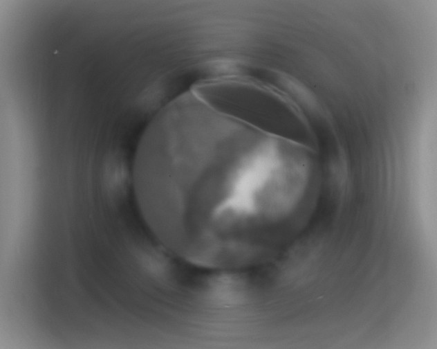 X0000114440320200910231323