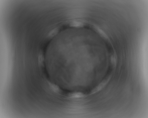 X0000114440322200910231323