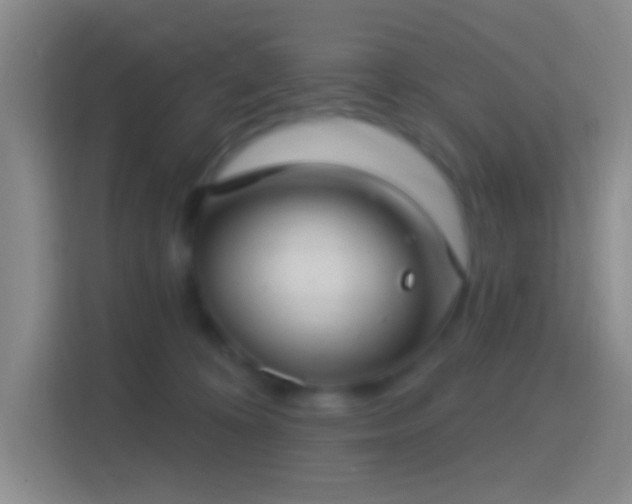 X0000114440324200910231323