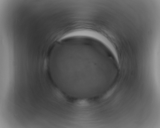 X0000114440325200910231323