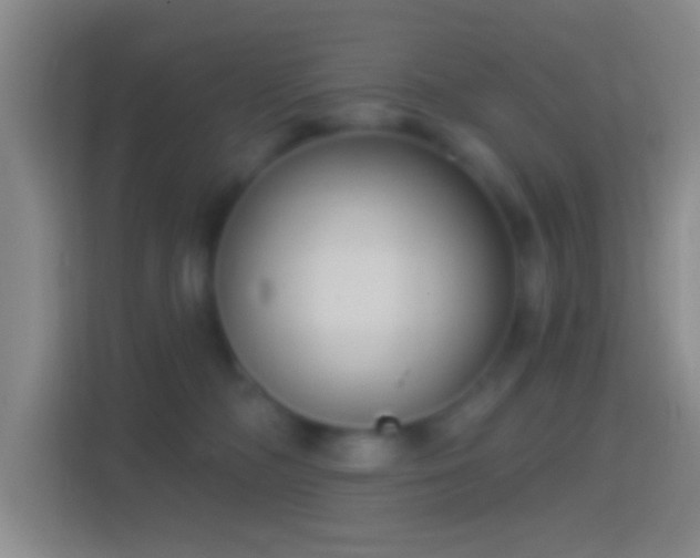 X0000114440326200910231323