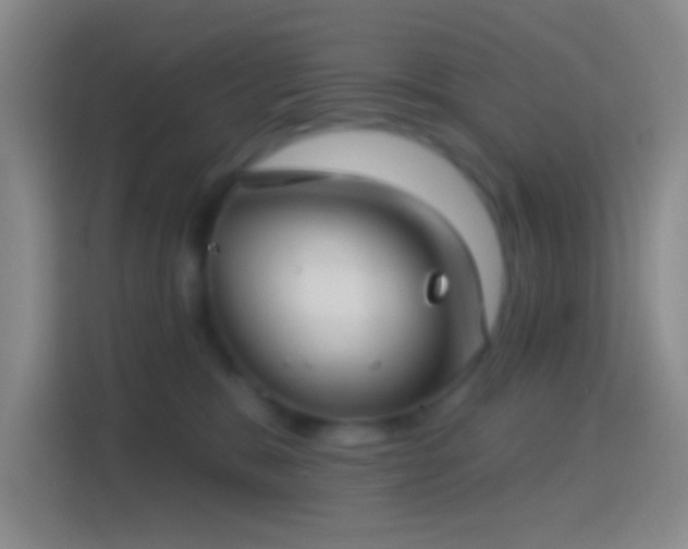 X0000114440327200910231323