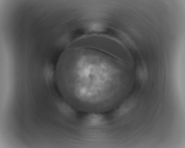 X0000114440328200910231323