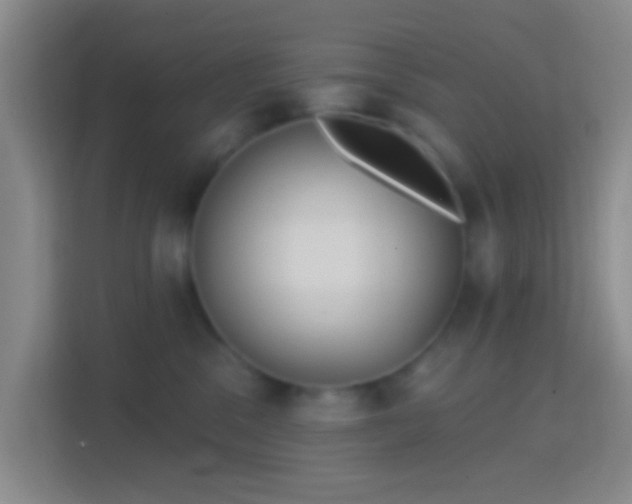 X0000114440329200910231323