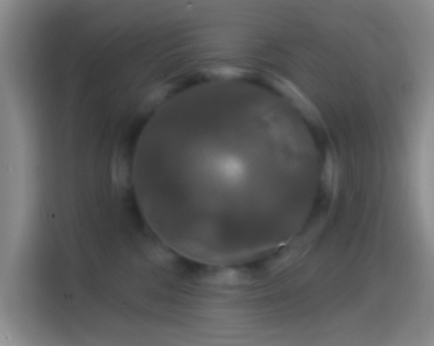 X0000114440330200910231323