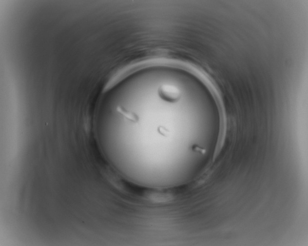 X0000114440331200910231323