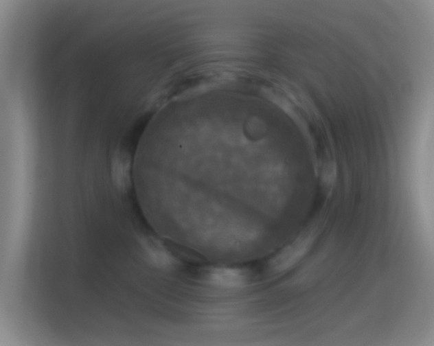 X0000114440332200910231323