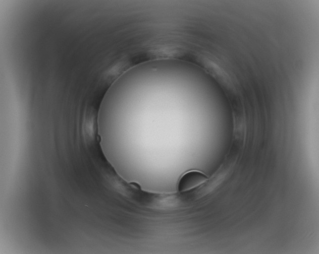 X0000114440334200910231323