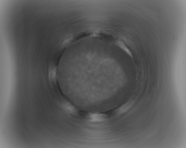 X0000114440336200910231323