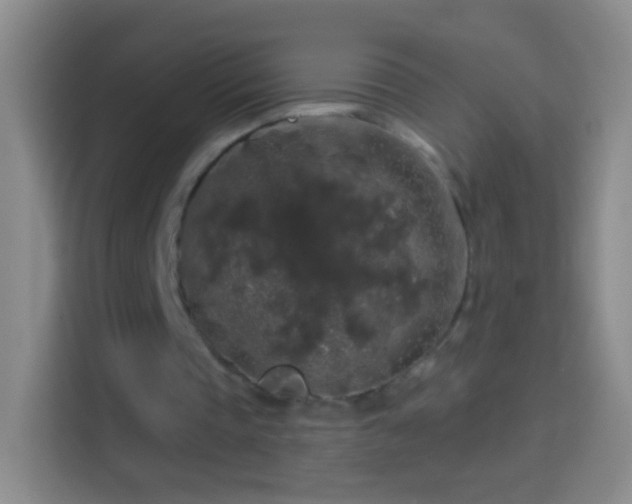 X0000114440337200910231322