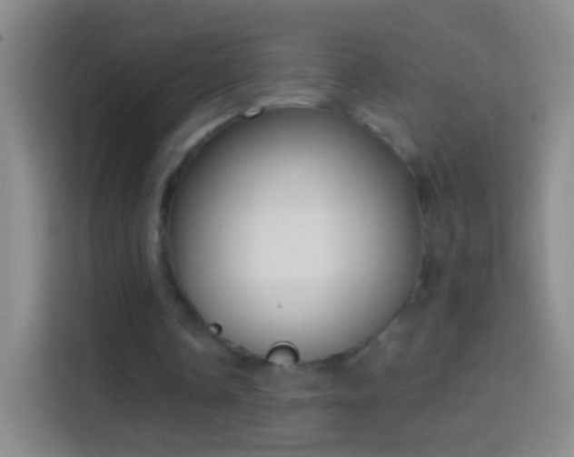 X0000114440338200910231322